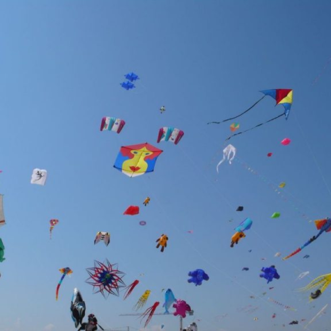 Basking in Kite Flying