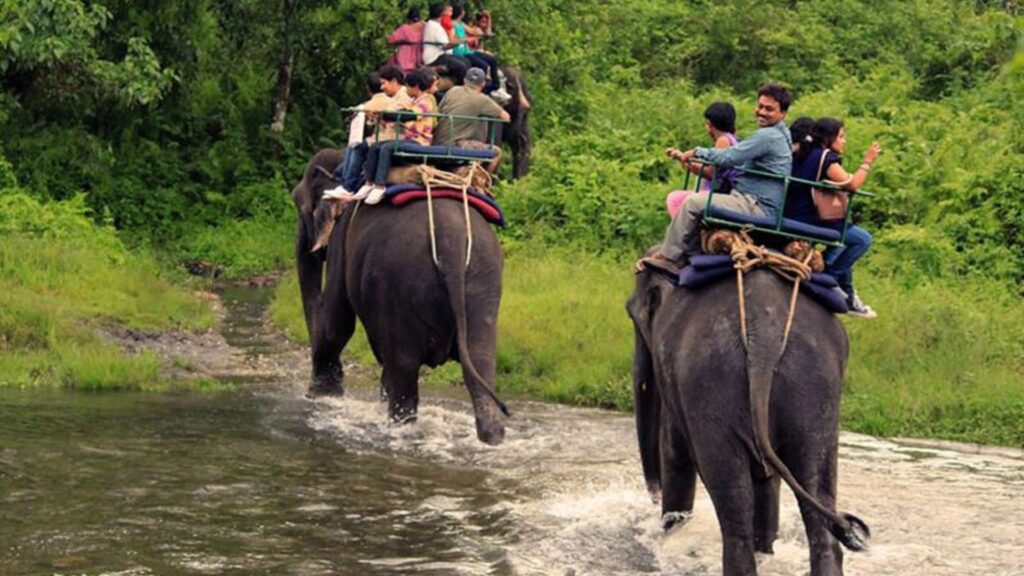 Elephant Safari in Jaldapara