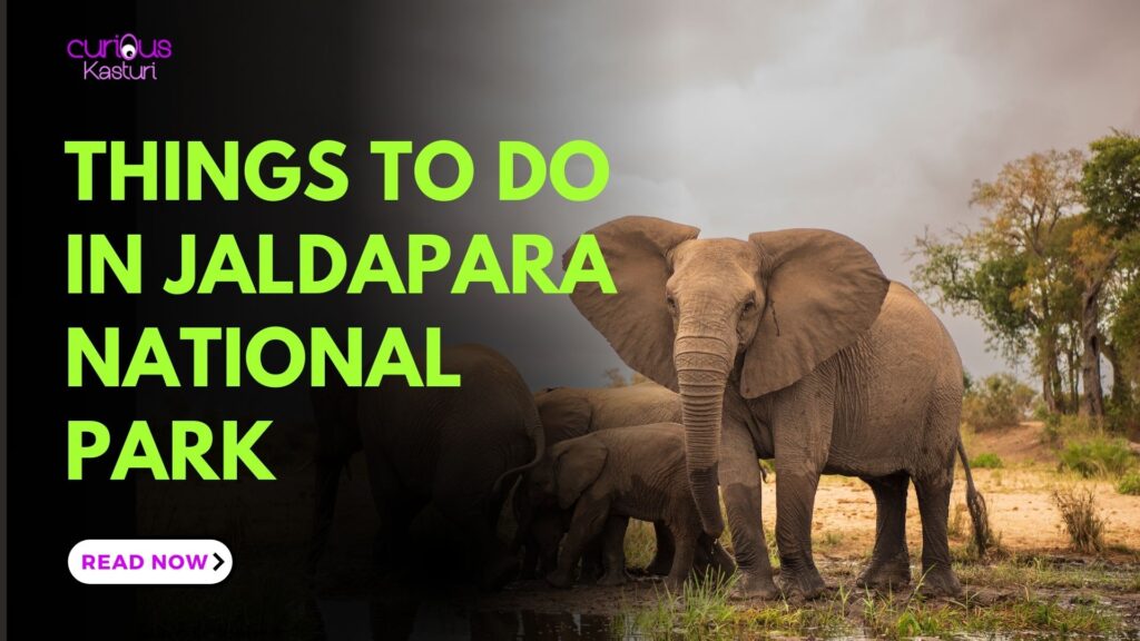 Jaldapara National Park