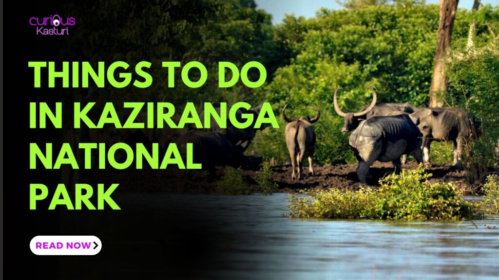 kaziranga national park