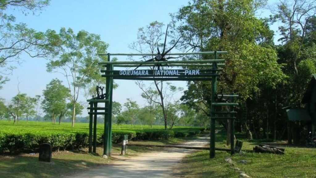 Gorumara National Park